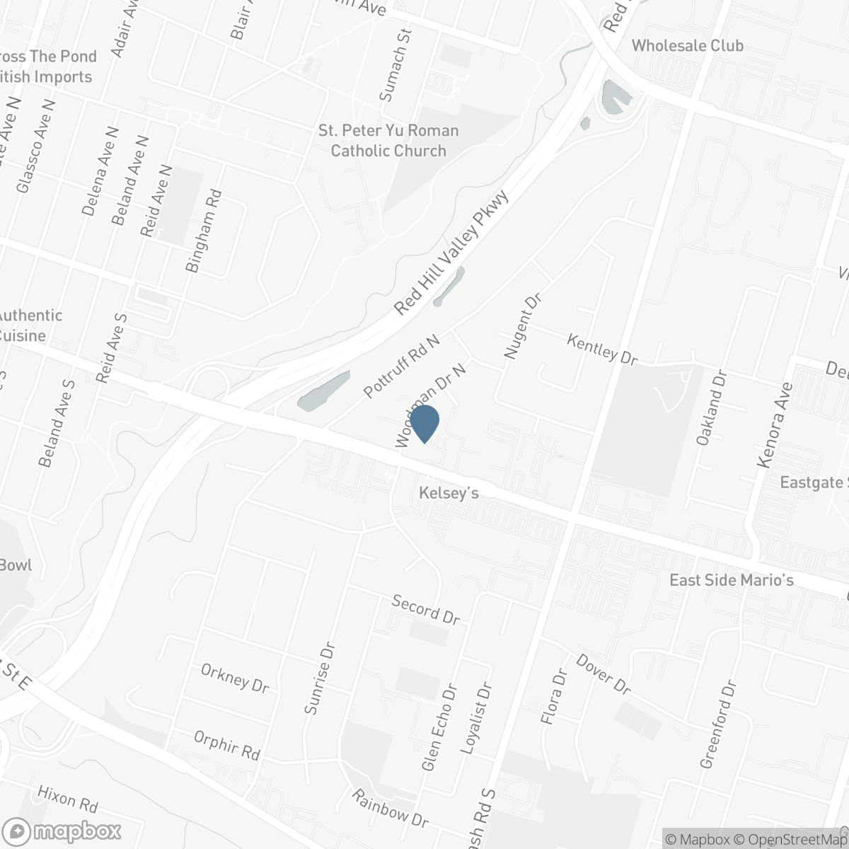 60 WOODMAN Drive N, Hamilton, Ontario L8H 2M5